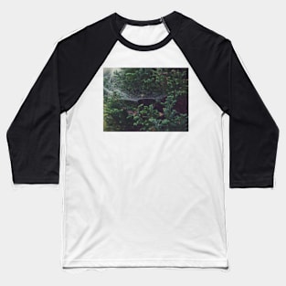 Spiderweb 3 Baseball T-Shirt